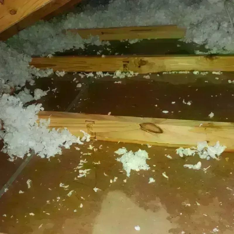 Attic Water Damage in Bountiful, UT